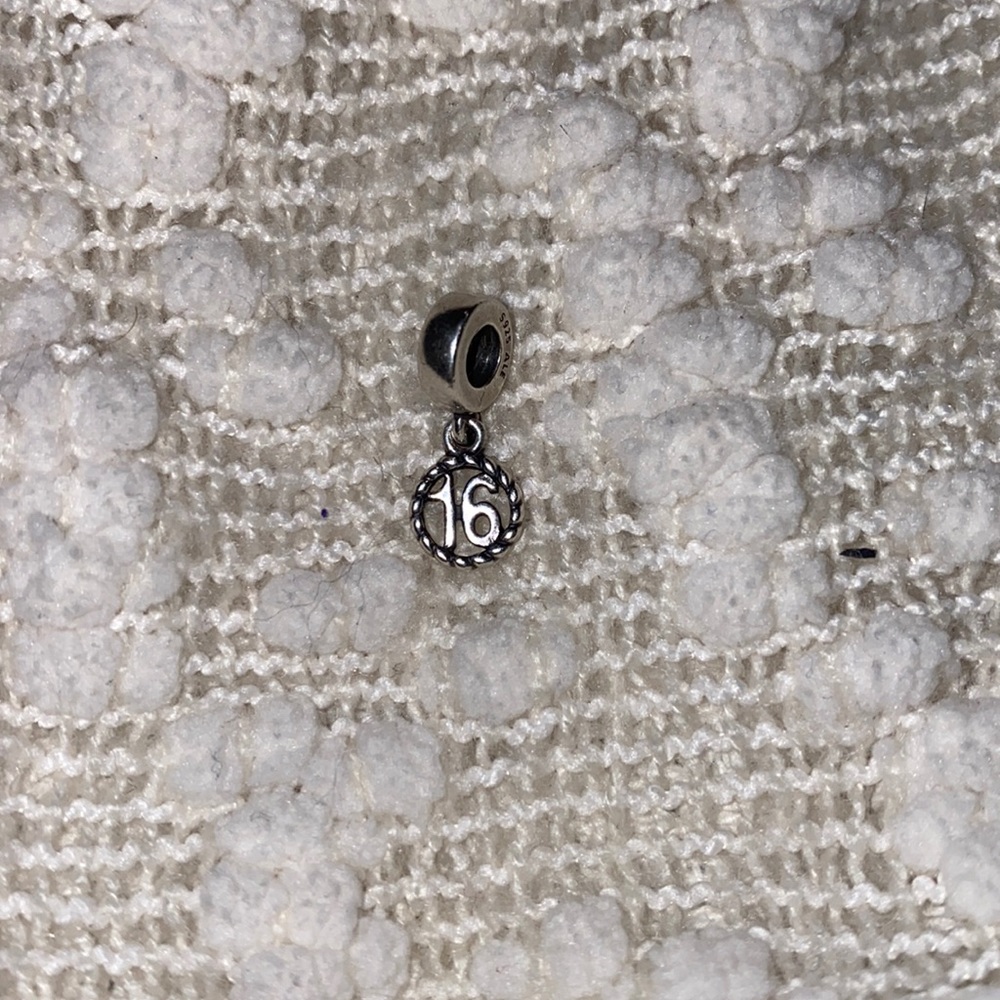 16 Pandora charm